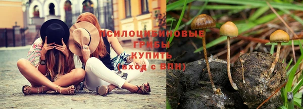 меф Бородино